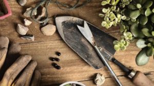 FISH Work Day: OCT. 16